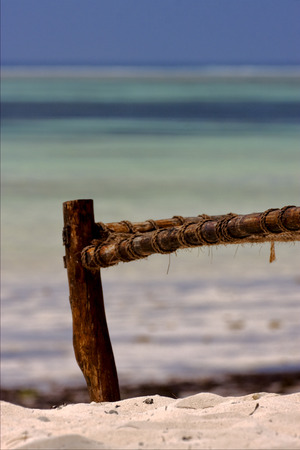 bench rope beach and sea in zanzibar coastlineの写真素材