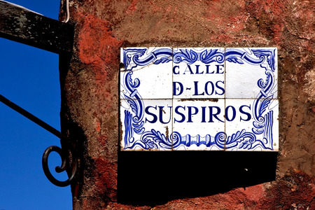 plant and a wall in calle de los suspiros of house in colonia del sacramento  uruguayの写真素材