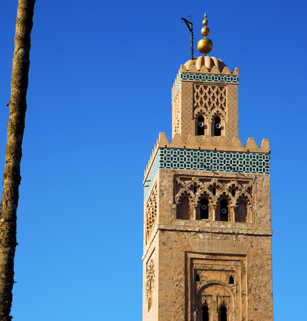 in maroc africa      minaret  and the blue     skyの写真素材