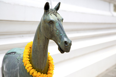 horse  in the temple bangkok asia   thailand abstract cross      colors step   wat  palacesの写真素材