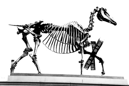 marble and statue in old city of london       englandの写真素材