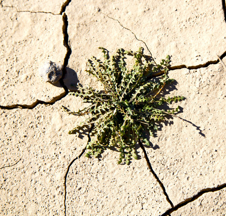 brown dry sand in sahara desert morocco africa erosion and abstractの写真素材