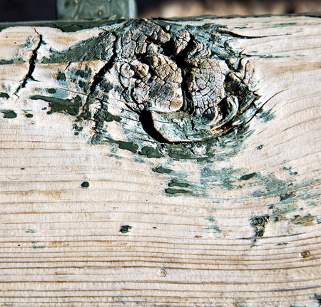stripped paint in the blue  wood door    and rusty      nailの写真素材
