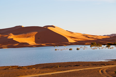 sunshine in the desert of morocco sand and  lake        duneの写真素材