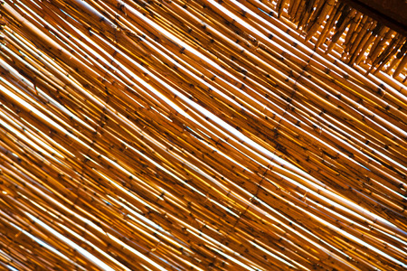 morocco abstract bamboo roof in the    africa  sky