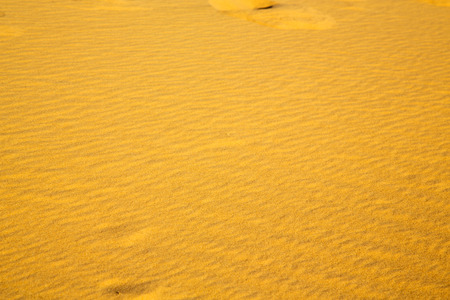 the brown sand dune   in the sahara morocco desertの写真素材