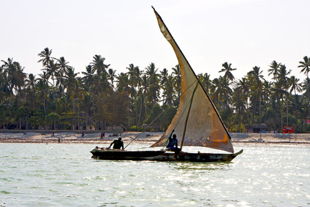 zanzibar beach  seaweed in indian ocean tanzania       sand isle   sky and boat