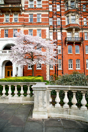 in  europe london old red brick wall and              historical windowのeditorial素材
