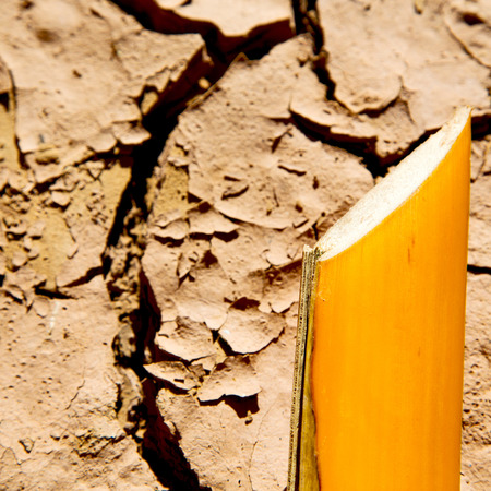 cracked sand in morocco africa desert abstract macro barkの写真素材