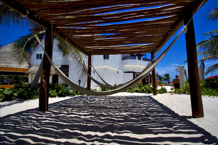 mexico hammock tree palm  peace marble and relax near the caribbean beachの写真素材