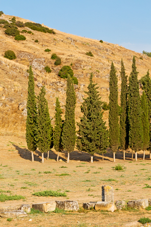 pamukkale    old       construction in asia turkey the column  and the roman templeの写真素材