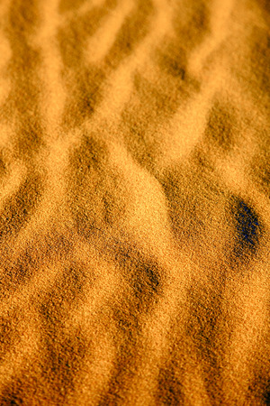the brown sand dune in the sahara morocco desertの写真素材