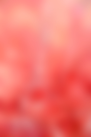 the abstract colors and blurred  background textureの写真素材