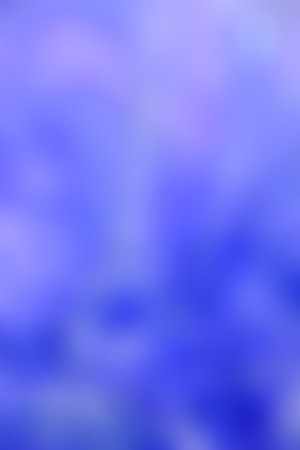 the abstract colors and blurred  background textureの写真素材