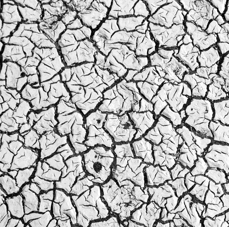 old desert and the abstract cracked sand texture  in oman    rub  al khaliの写真素材