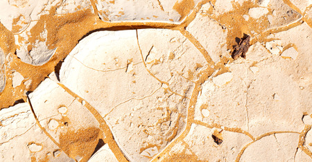 old desert and the abstract cracked sand texture  in oman    rub  al khaliの写真素材