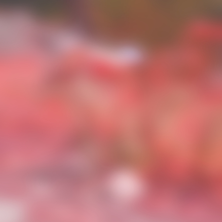 the abstract colors and blurred  background textureの写真素材