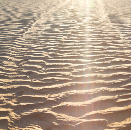 abstract texture line wave in oman the old desert  and the empty quarterの写真素材