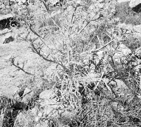 old  temple and theatre in termessos antalya turkey asia sky and ruinsの写真素材