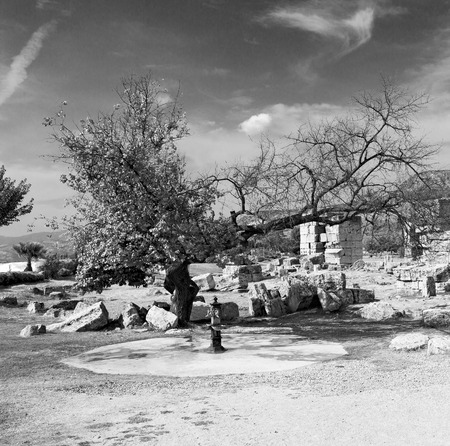 pamukkale    old       construction     in asia turkey the column  and the roman templeの写真素材