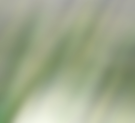 the abstract colors and blurred  backgroundの写真素材