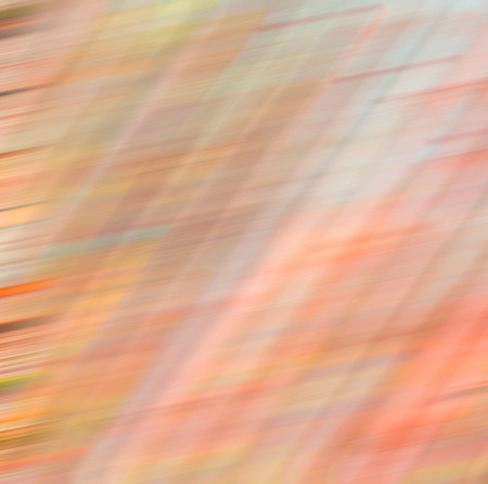 background     texture bamboo woothe abstract colors and blurred  backgroundd and plant in the...