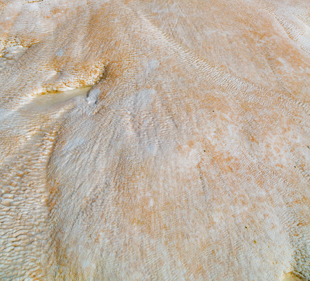 unique abstract in pamukkale turkey asia the old calcium bath and travertine water