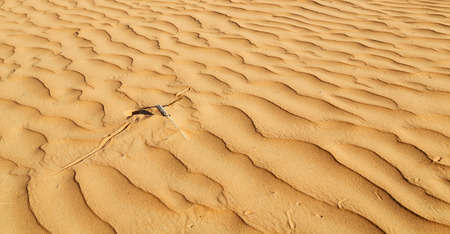 abstract texture line wave in oman the old desert  and the empty quarterの写真素材