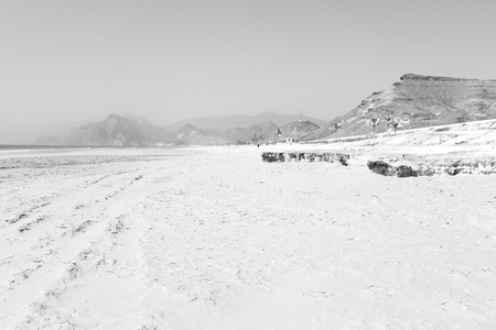 near sandy beach sky  palm   and mountain in oman arabic sea   the hillの写真素材