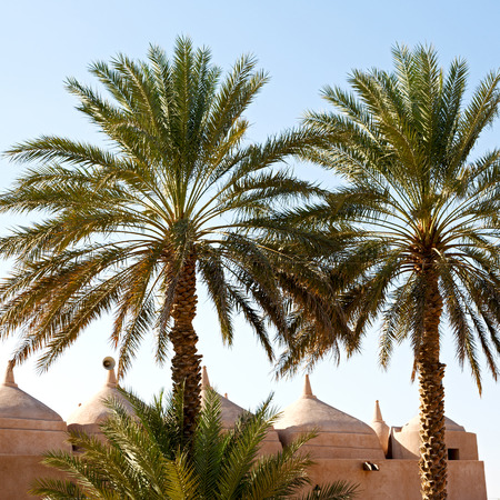 minaret and religion in clear sky in oman muscat the old mosqueの写真素材