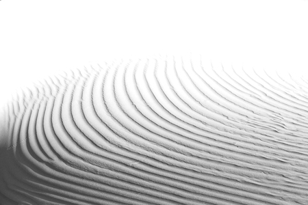 abstract texture line wave in oman the old desert  and the empty quarterの写真素材