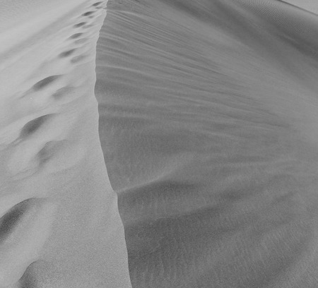 the empty quarter and outdoor  sand dune in oman old desert rub al khaliの写真素材