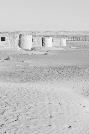 the empty quarter  and outdoor    sand  dune in  oman old desert rub    al khaliの写真素材