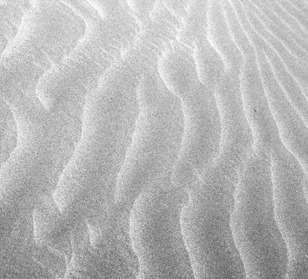 abstract texture line wave in oman the old desert  and the empty quarterの写真素材