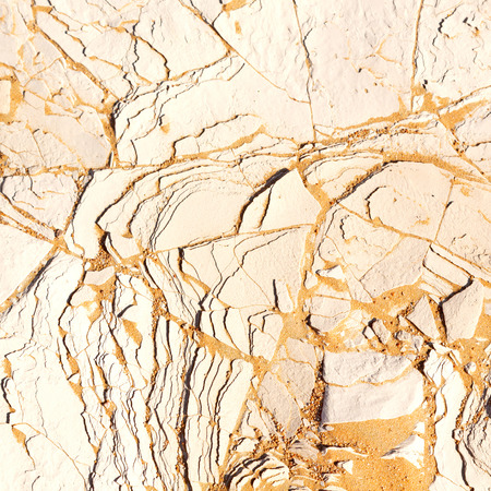 old desert and the abstract cracked sand texture  in oman    rub  al khali