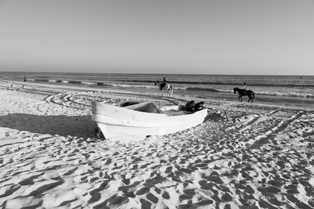 near sandy beach sky       and horse  in oman arabic seaの写真素材