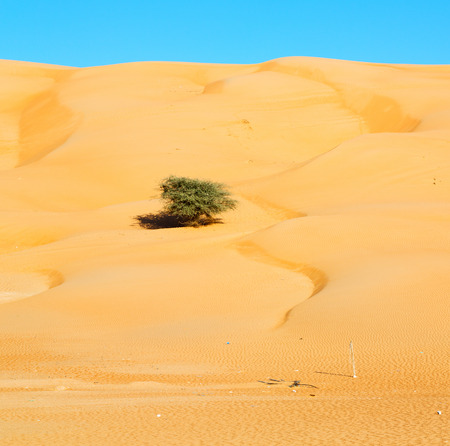 the empty quarter  and outdoor  sand  dune in oman old desert rub al khaliの写真素材