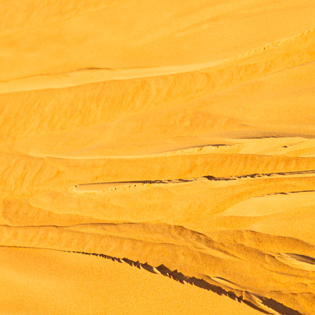 abstract texture line wave in oman the old desert  and the empty quarterの写真素材