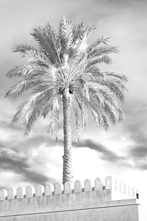 fort battlesment sky and    star brick in oman    muscat the old defensiveのeditorial素材