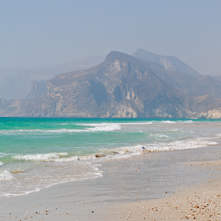 the mountain and sea seagull full  in oman coastline of salalah の写真素材