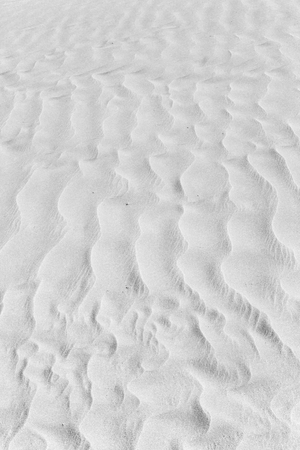 abstract texture line wave in oman the old desert  and the empty quarter