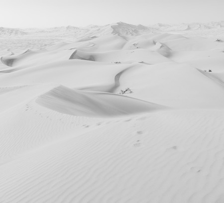 the empty quarter  and outdoor  sand  dune in oman old desert rub al khaliの写真素材