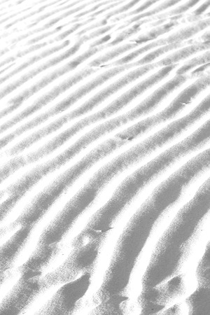abstract texture line wave in oman the old desert  and the empty quarterの写真素材