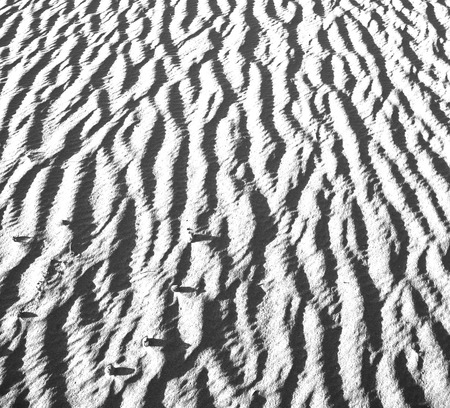 abstract texture line wave in oman the old desert  and the empty quarter
