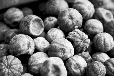 in iran blur  typical dry lemon in abstract pattern background flavor and aromaの写真素材