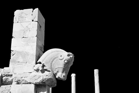 in iran persepolis the old ruins historical destination monuments and ruinの写真素材