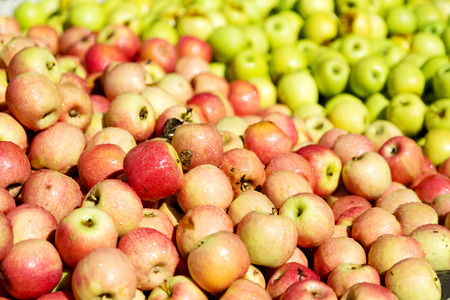 in south africa market red and yellow apples in the natural  lightの写真素材