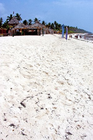 zanzibar   beach  seaweed in indian ocean tanzania       sand isle   sky and boatのeditorial素材