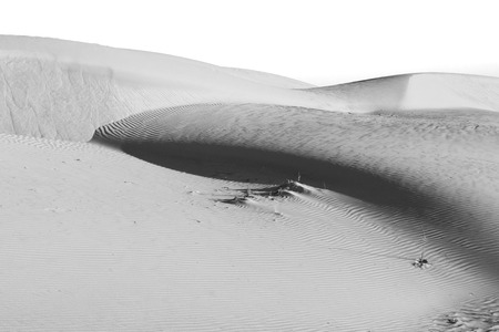 the empty quarter  and outdoor  sand  dune in oman old desert rub al khaliの写真素材