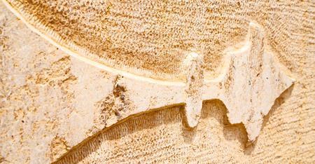 blur old arrow incision symbol wall close up like abstract  texture  backgroundの写真素材